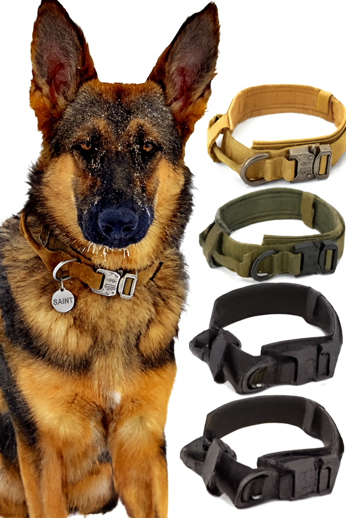 Heavy-Duty Tactical Dog Collar – The Ultimate in Comfort, Control, and Durability for Your Pup!
