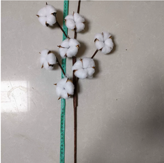 Artificial Cotton Stem for Decor