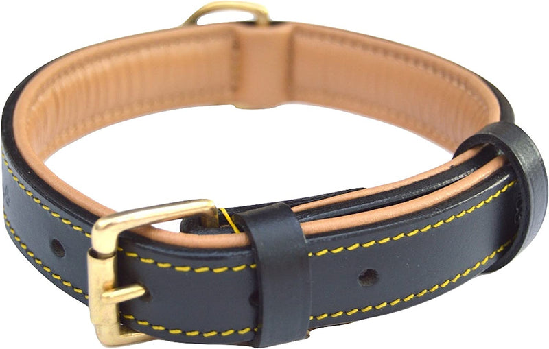 Black Leather Padded Dog Collar, Size Medium, 20