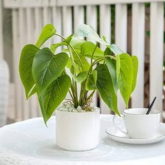 13in Artificial Leaf Plant for Home Decor Greenery