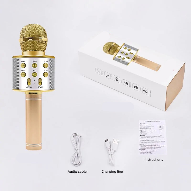 Karaoke Wireless Microphone