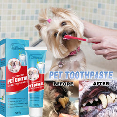 Edible Pet Toothpaste for Dogs & Cats - Fresh Breath & Tartar Control | 60g Tube