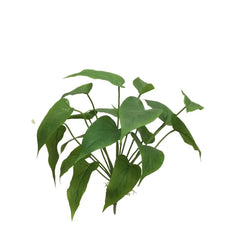 13in Artificial Leaf Plant for Home Decor Greenery