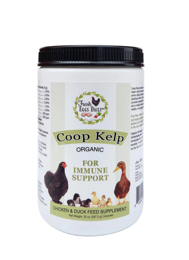 Organic Kelp Feed Supplement for Chickens & Ducks - 20oz Premium Vitamins by Fresh Eggs Daily